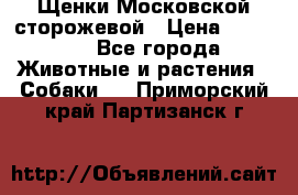 Щенки Московской сторожевой › Цена ­ 35 000 - Все города Животные и растения » Собаки   . Приморский край,Партизанск г.